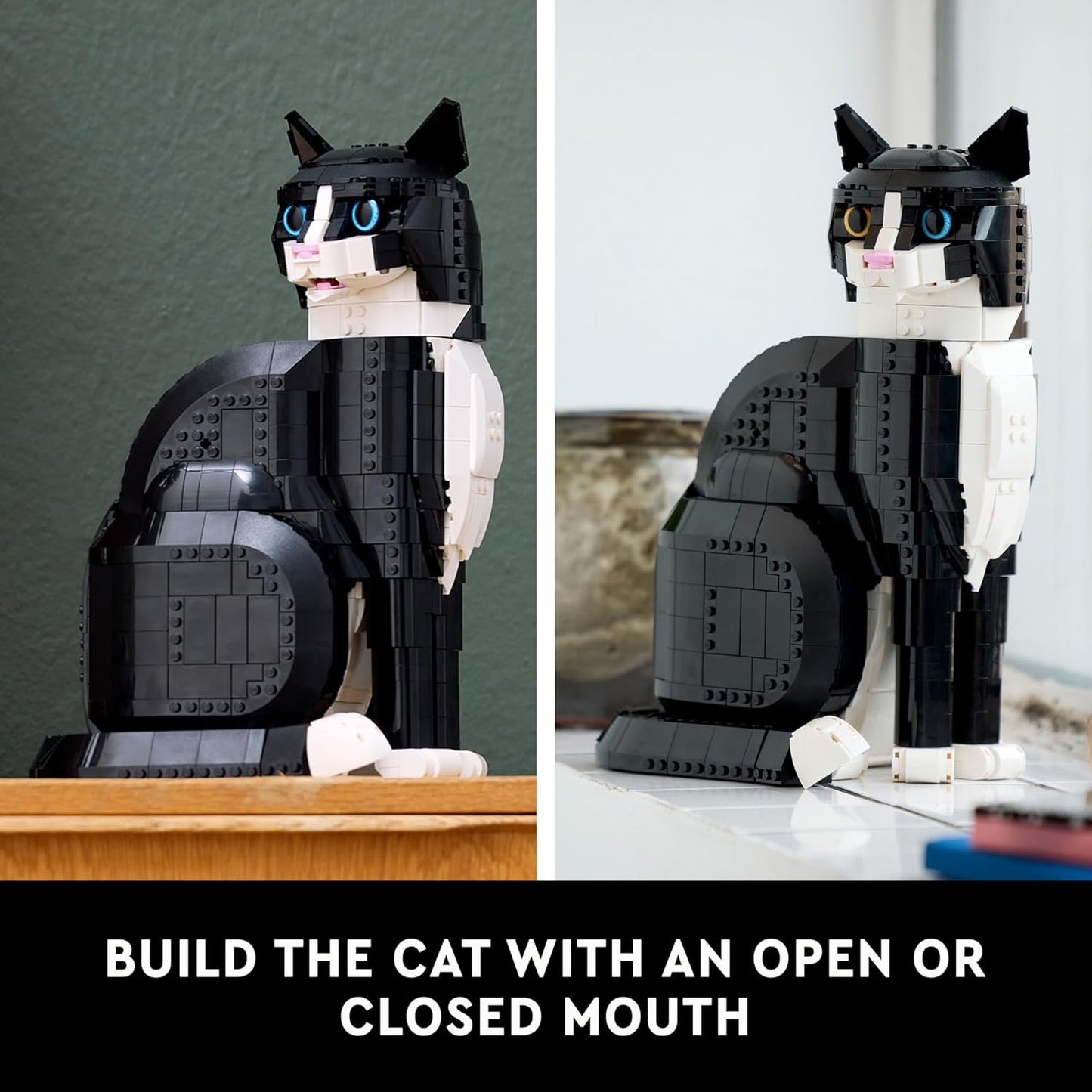 Tuxedo Cat Set