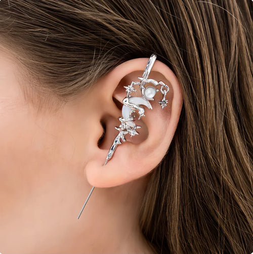 Glam Silver-Tone Earrings