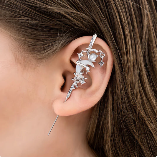 Glam Silver Earrings